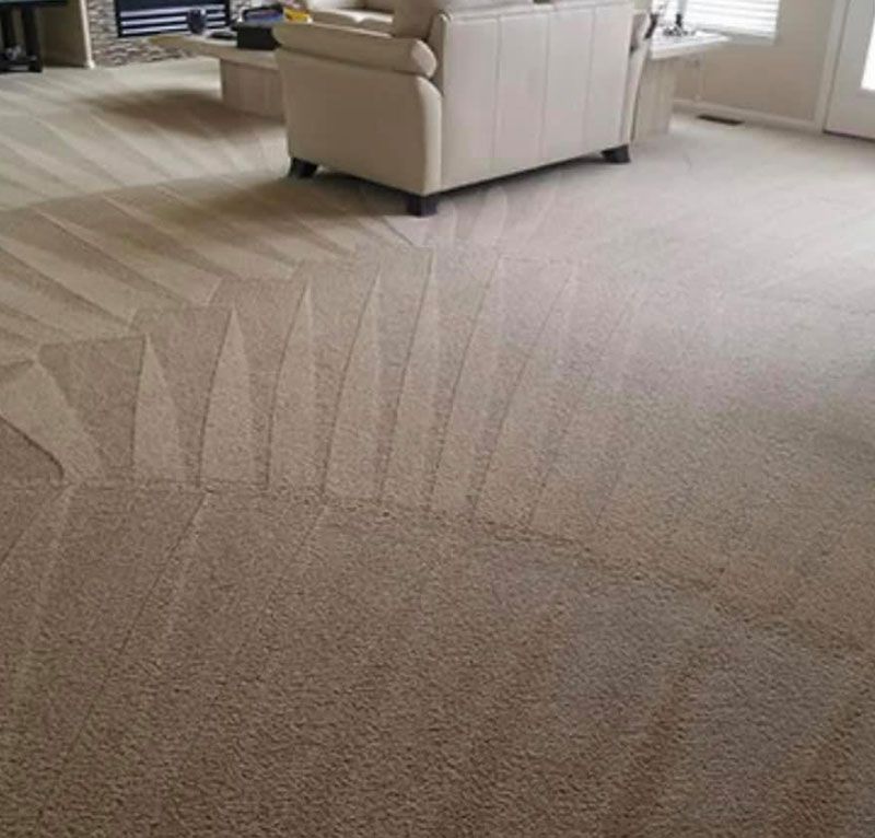 Affordable carpet cleaning in Saginaw